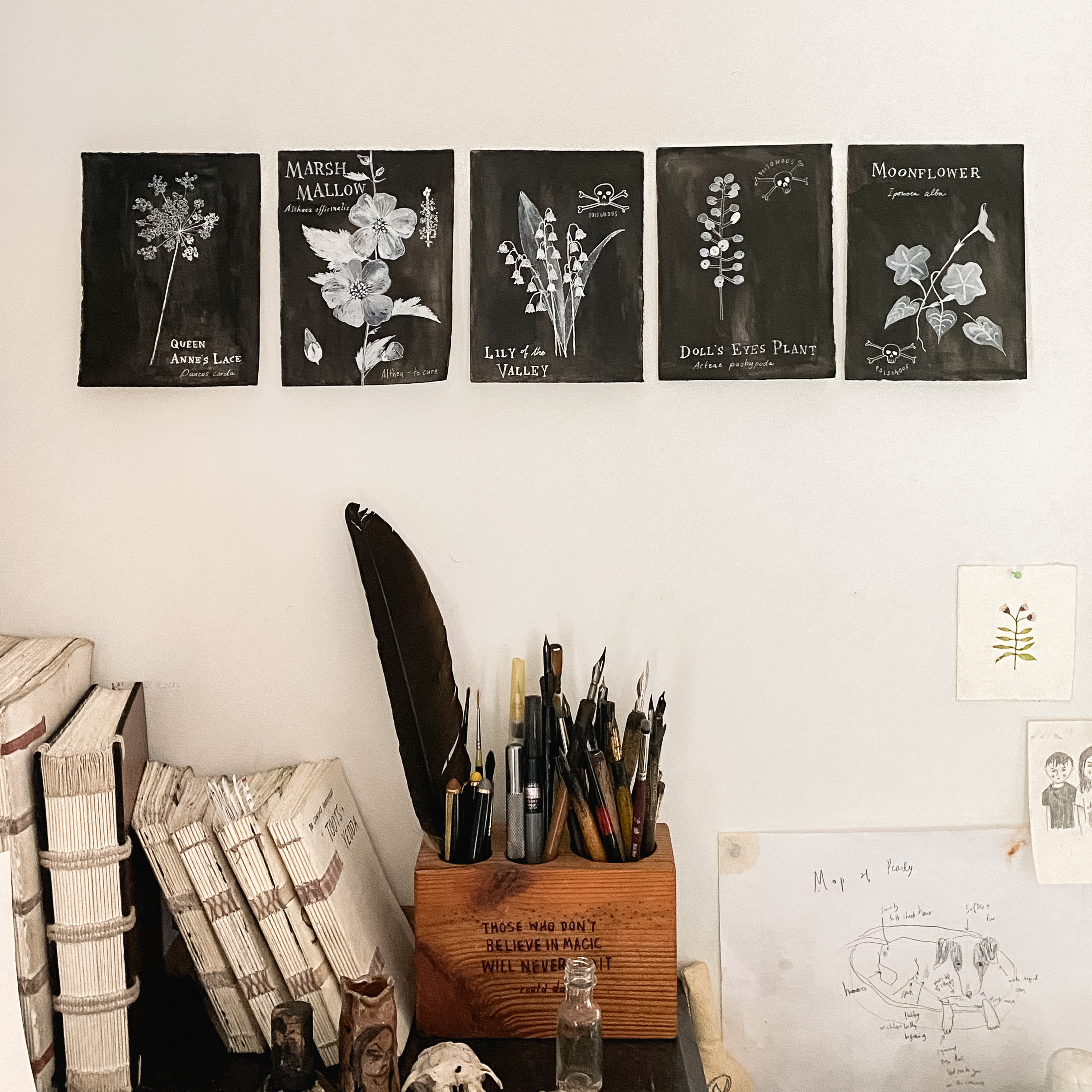 Botanical Art Print: Queen Anne’s Lace